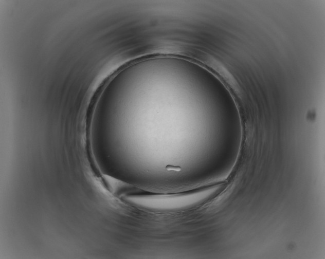 X0000092310939200709281343