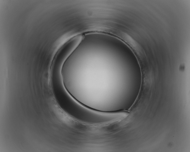 X0000092310940200709281343