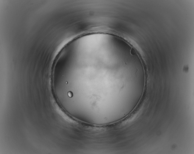 X0000092310941200709281343