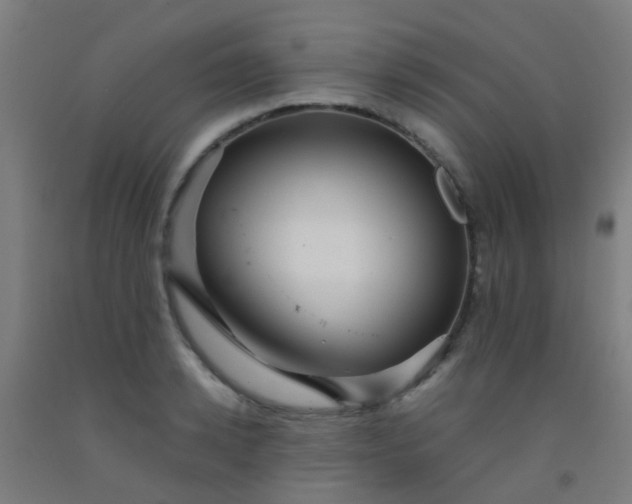 X0000092310942200709281343