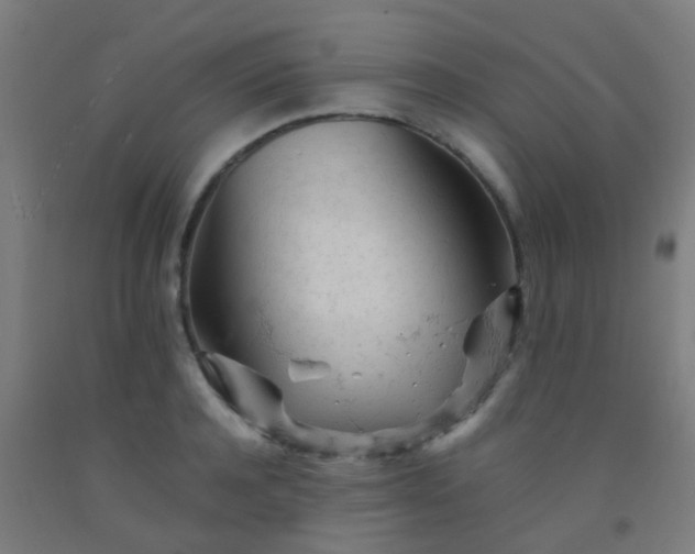 X0000092310944200709281343