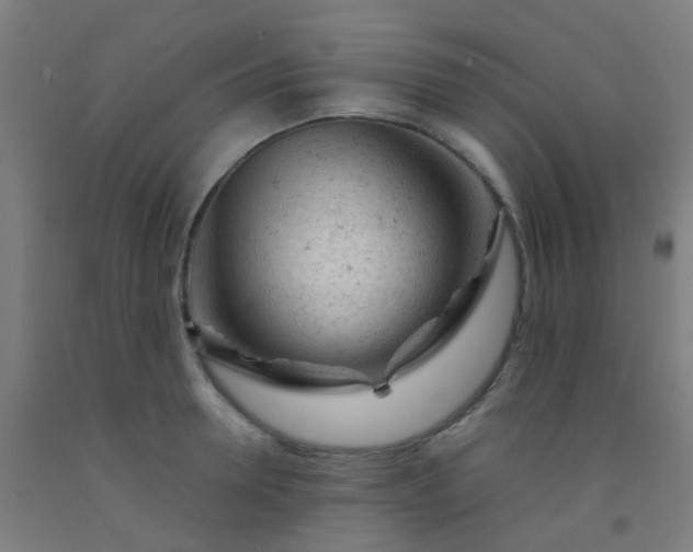 X0000092310946200709281344