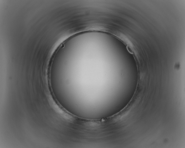 X0000092310947200709281344