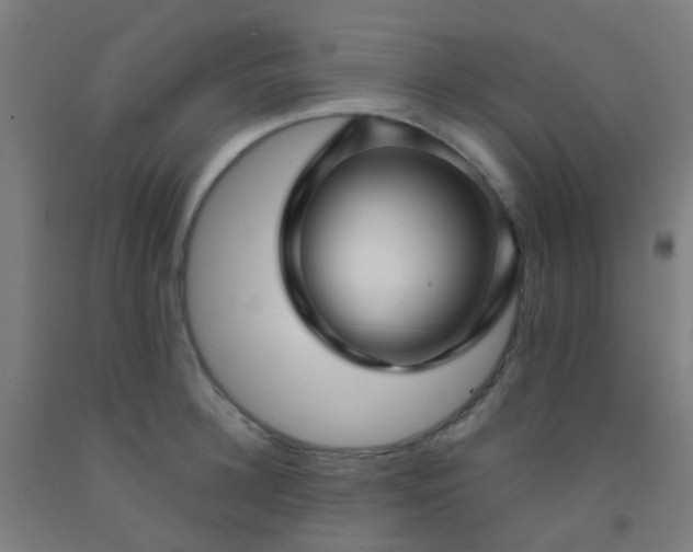 X0000092310948200709281344