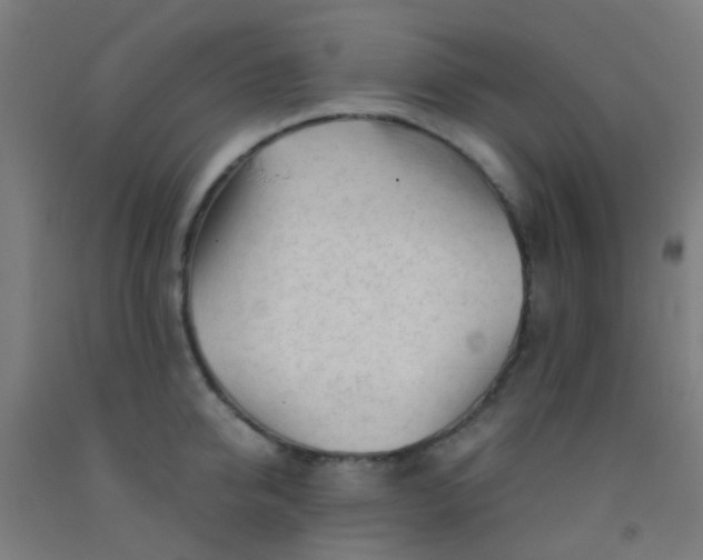 X0000092310950200709281344