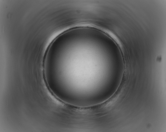 X0000092310951200709281344