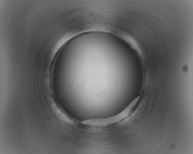 X0000092310952200709281344