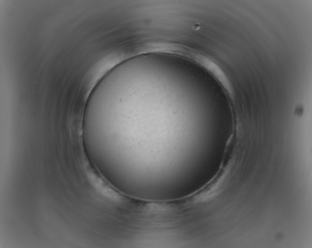X0000092310954200709281344