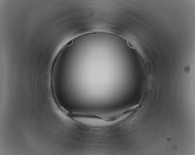 X0000092310955200709281344