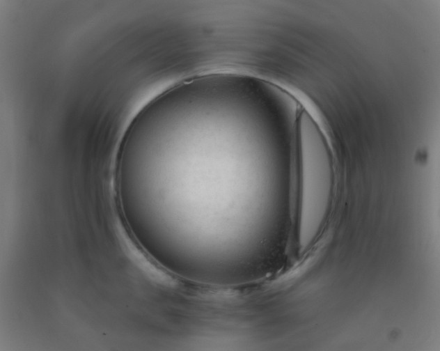 X0000092310957200709281344