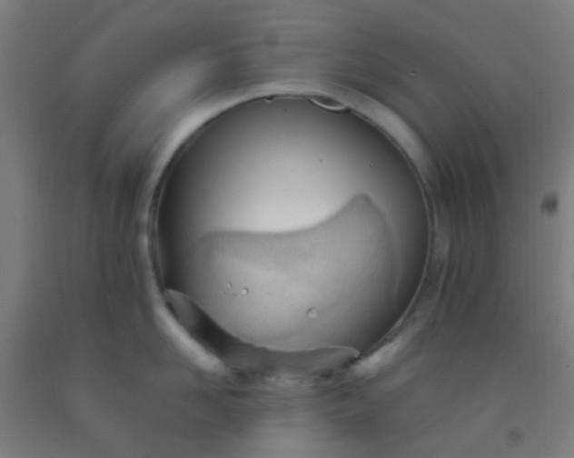 X0000092310958200709281344