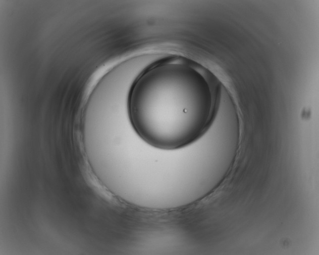 X0000092310960200709281344