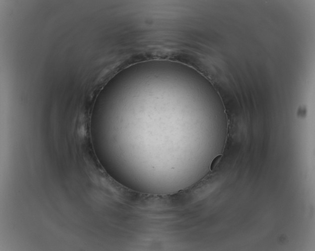 X0000092310962200709281343