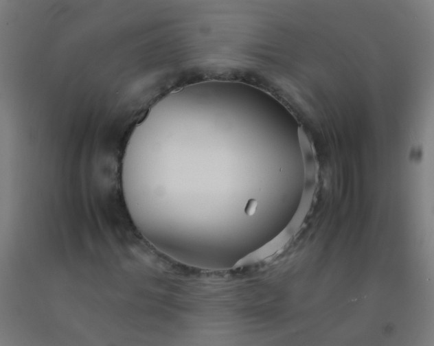 X0000092310964200709281343