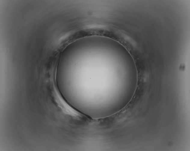 X0000092310965200709281343