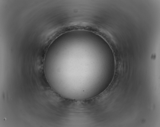 X0000092310966200709281343