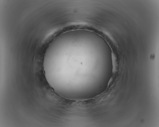 X0000092310967200709281343