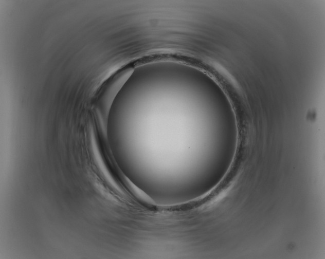 X0000092310969200709281343
