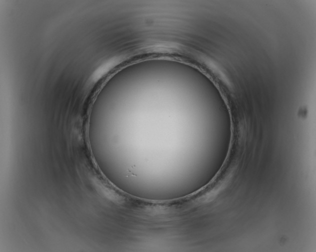 X0000092310970200709281343