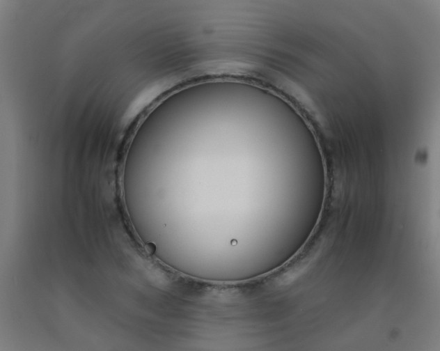 X0000092310978200709281343