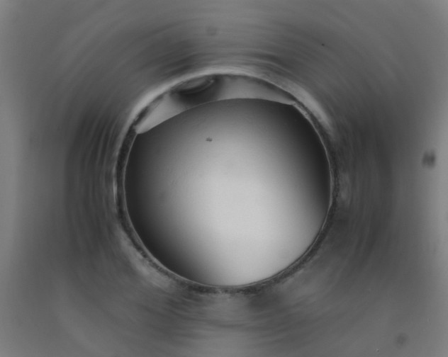 X0000092310980200709281343