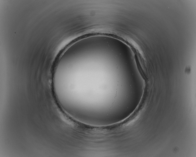 X0000092310981200709281343