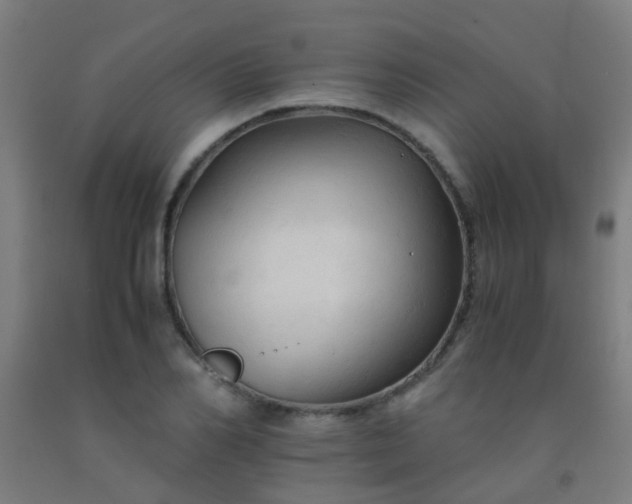 X0000092310982200709281343