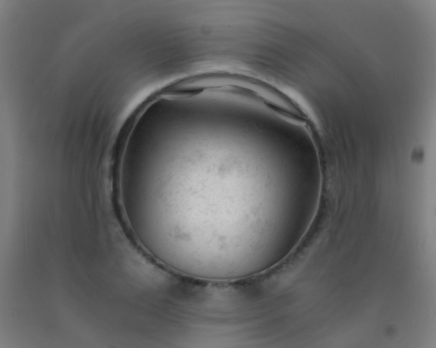 X0000092310983200709281343