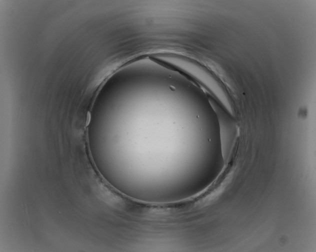 X0000092310985200709281343