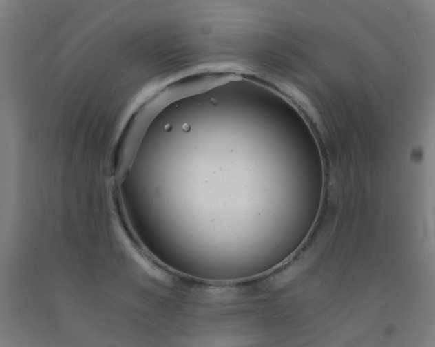 X0000092310989200709281343