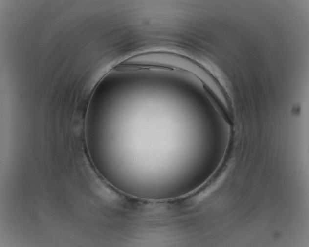 X0000092310993200709281343