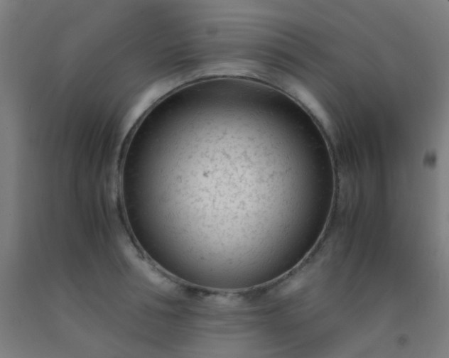 X0000092310994200709281343