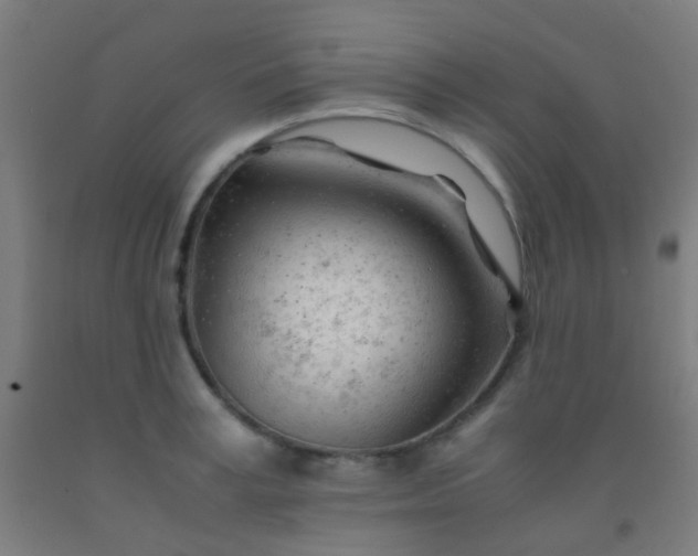 X0000092310995200709281343