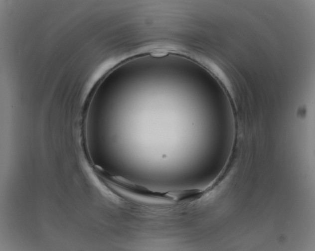 X0000092310997200709281343