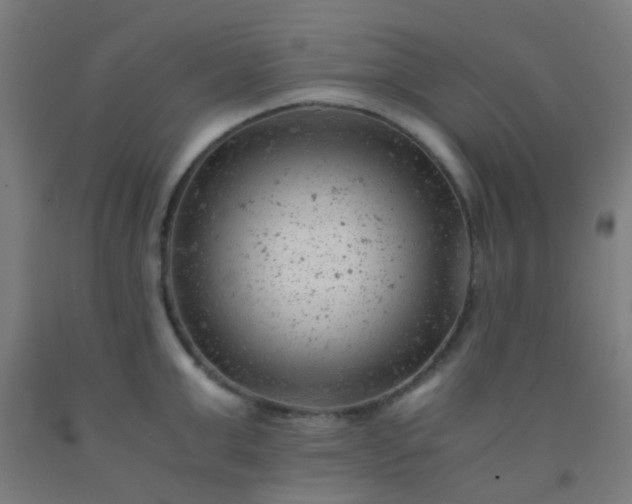 X0000092310999200709281343