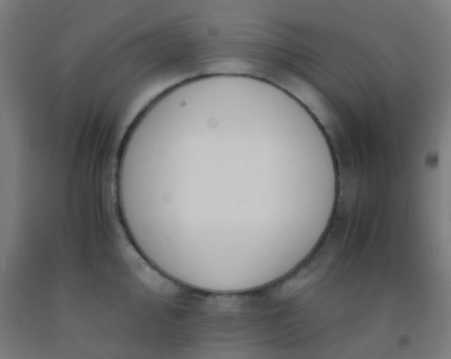 X0000092311000200709281343