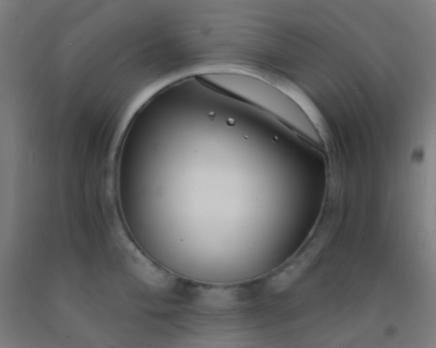 X0000092311004200709281343
