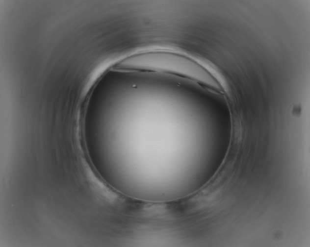X0000092311006200709281343
