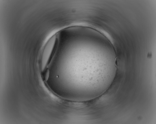 X0000092311007200709281343