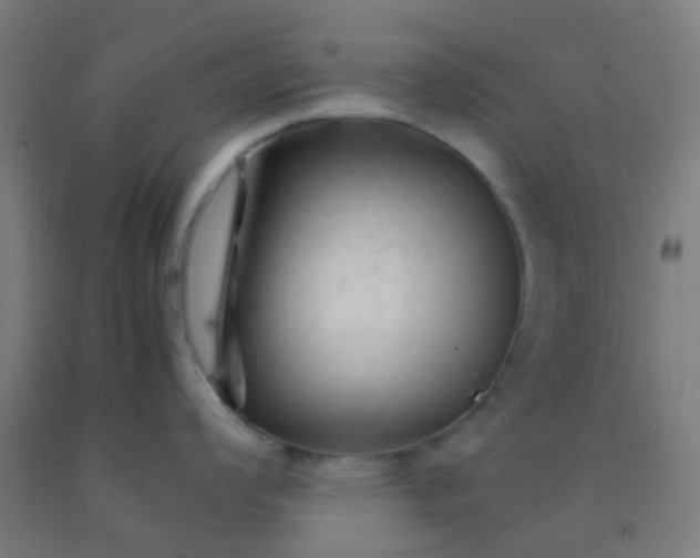 X0000092311008200709281342