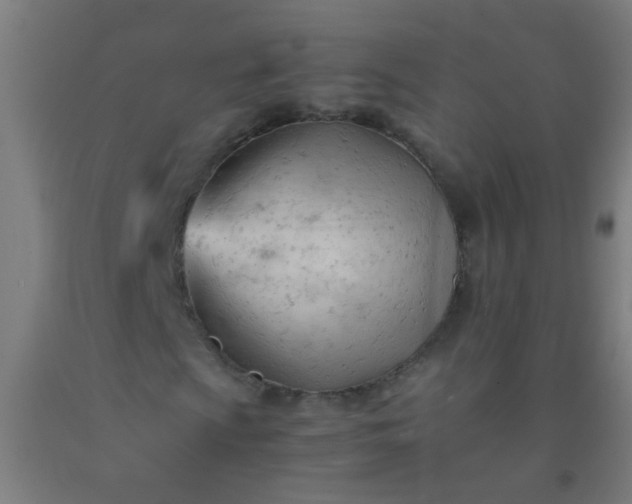 X0000092311009200709281342