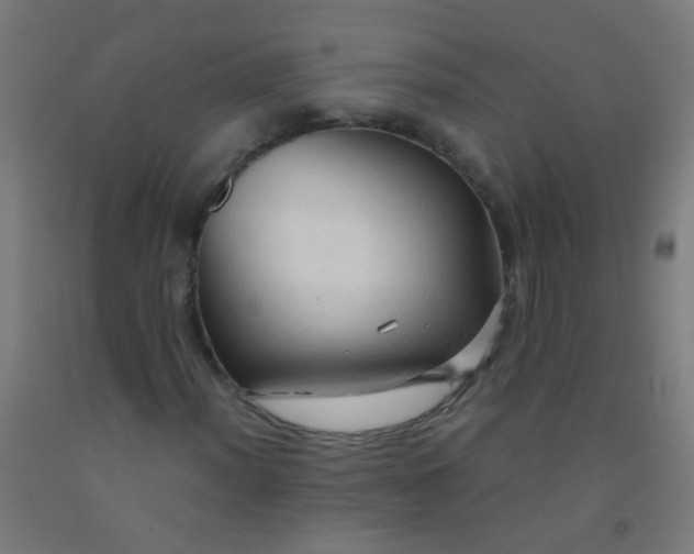 X0000092311012200709281342