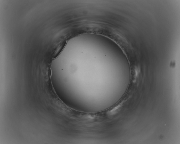 X0000092311013200709281342