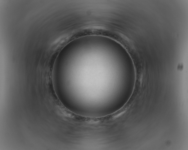 X0000092311014200709281342