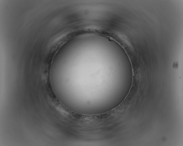 X0000092311015200709281342
