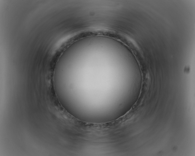 X0000092311016200709281342