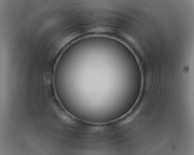 X0000092311017200709281342
