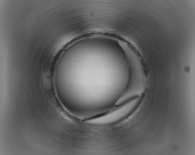 X0000092311018200709281342