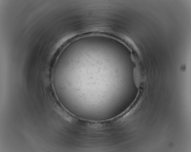 X0000092311019200709281342