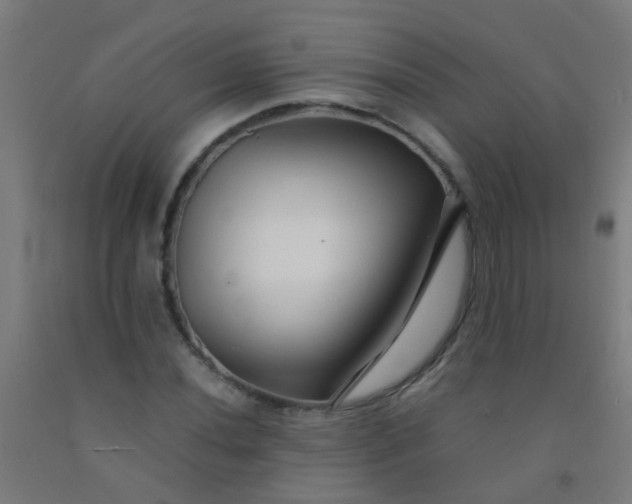 X0000092311020200709281342
